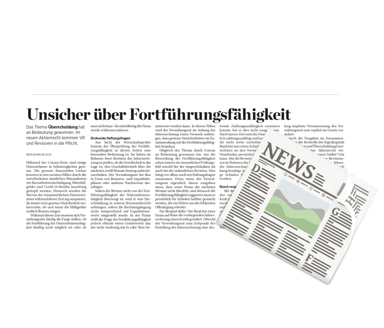 Artikel Fortführungsfähigkeit